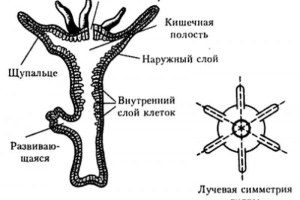 Кракен магазин kraken014 com